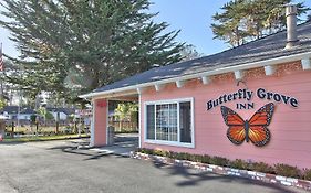 Butterfly Grove Inn